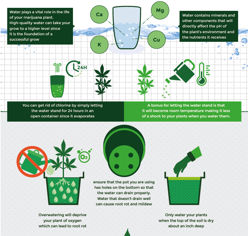 Watering schedule