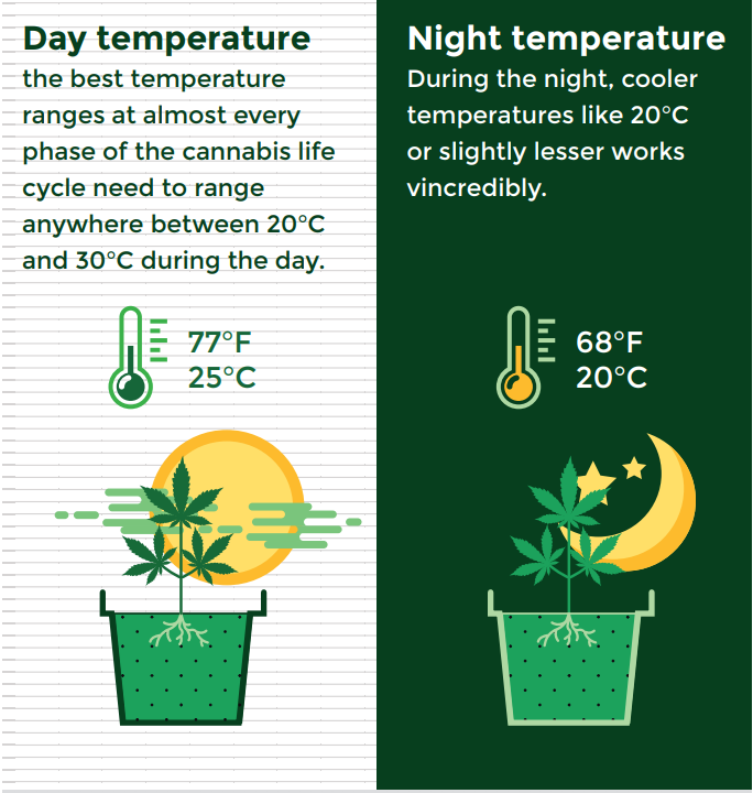 Temperature monitoring