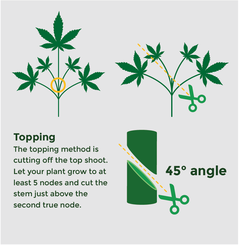 Topping technique