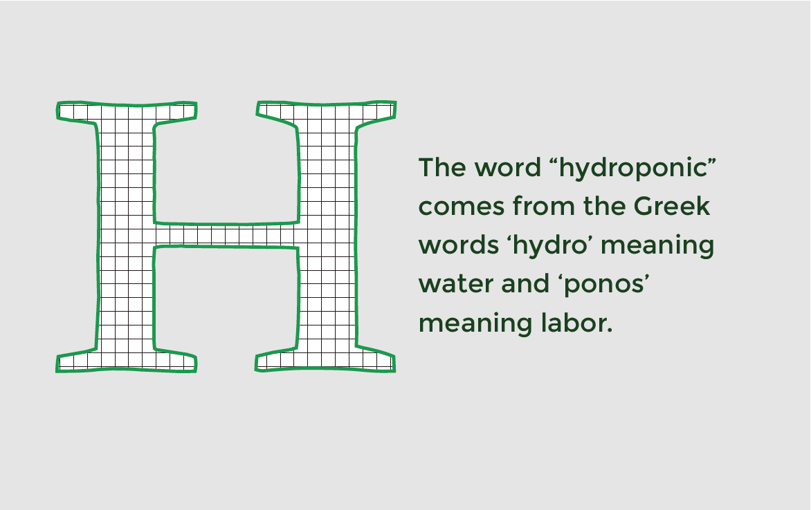 Hydroponics concept