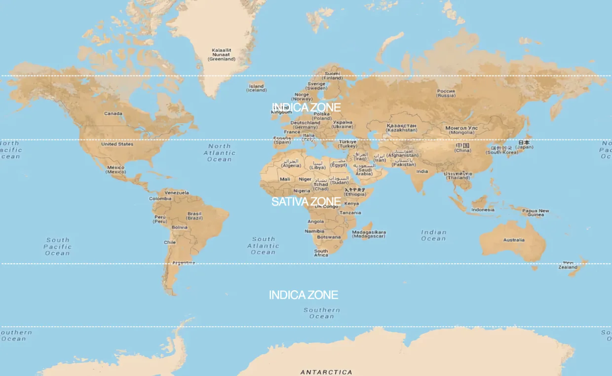 world map lines